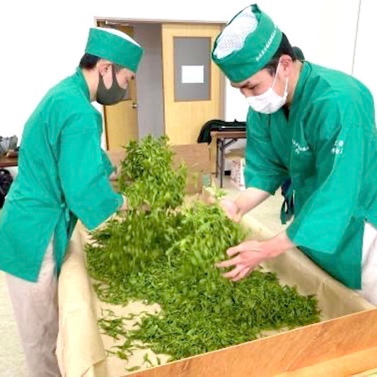 手摘み手揉みの新茶とは