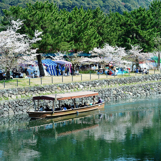 宇治川さくらまつり