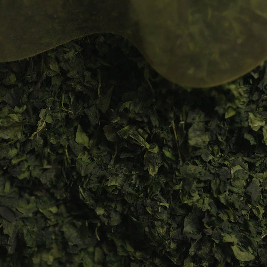 玉露と碾茶（抹茶）の深い味わいの秘密