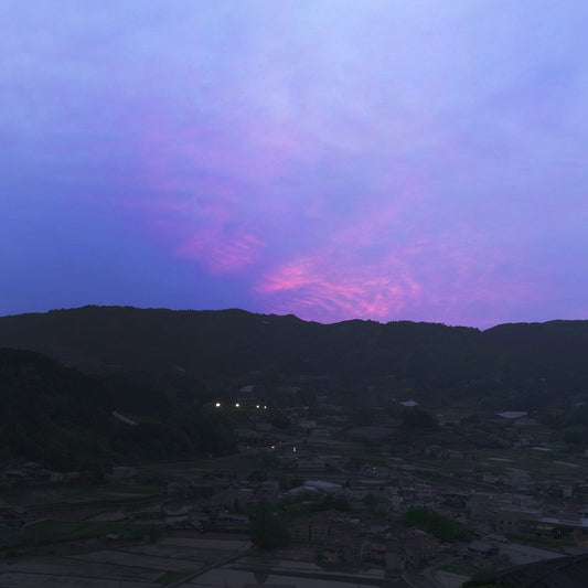 白露の頃、お茶とともに。朝露が教えてくれる秋のはじまり