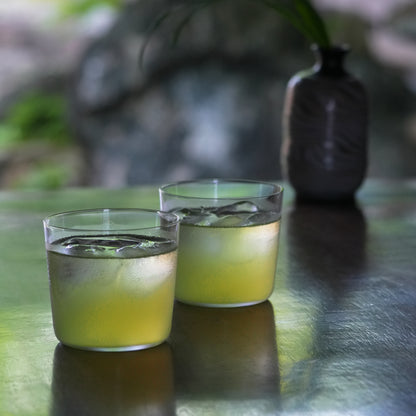 京都 宇治 中村藤吉本店 の水出し煎茶を氷の入ったガラスコップを２つならべて。