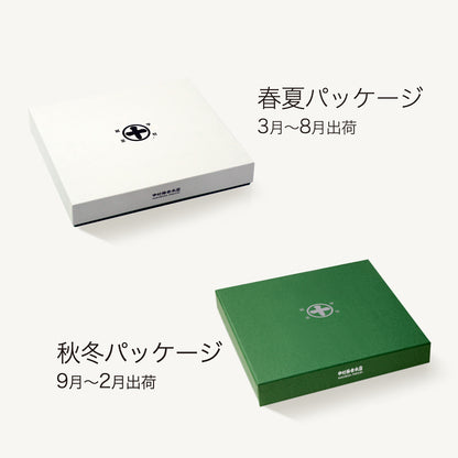 夏のご挨拶C