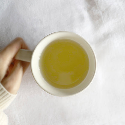 Kukicha Sencha Karigane （Stems）100g Bag